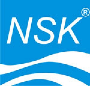  NSK      1000 