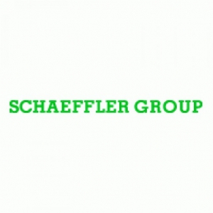  Schaeffler Group     X-life